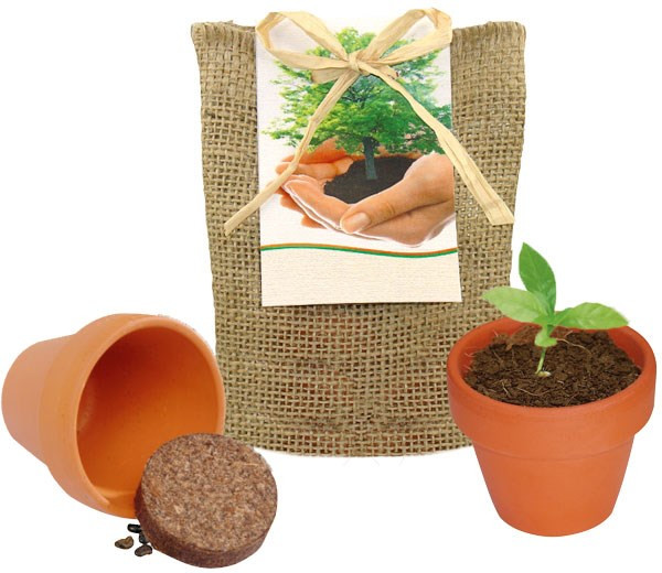 Plant your own Tree, small nature sack, robinia, incl. 1-4 c digital printing