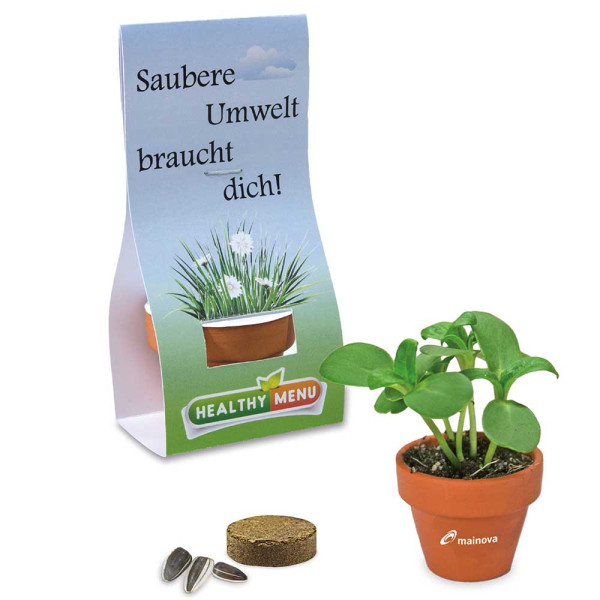 Mini logo-pot handover-packaging with seeds